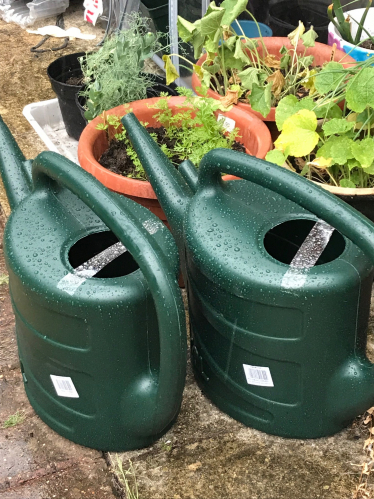 KB Watering Can Pic